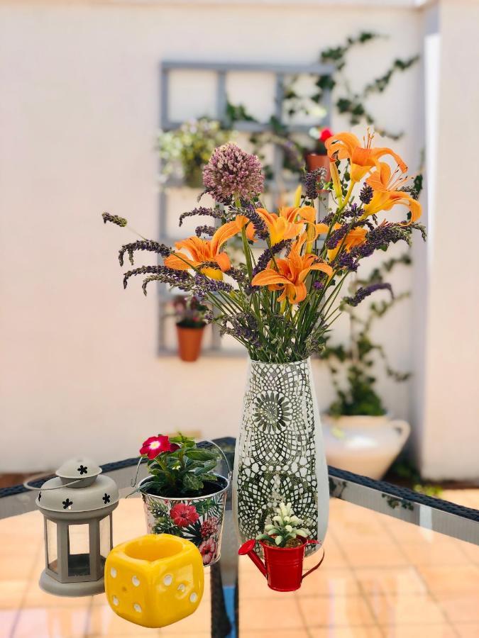 מוסטר Dream Apartments מראה חיצוני תמונה